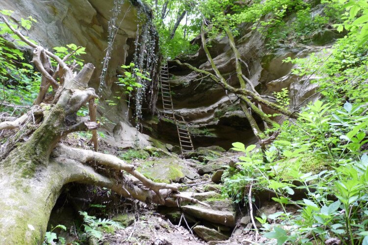 Nagybakónak – Steinfels-Schlucht