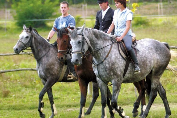 Reiten Möglichkeit