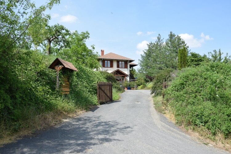 Sebestyén Cellar