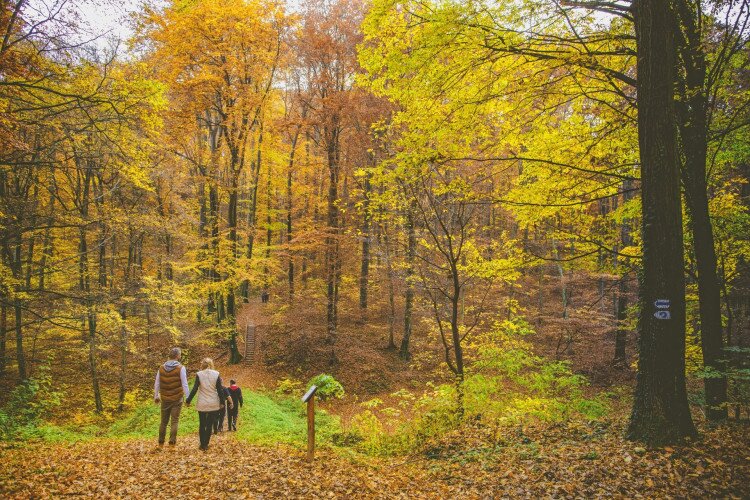 Wandertouren, Spaziergänge