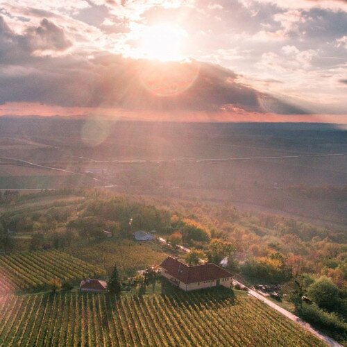 Weingut Bussay 